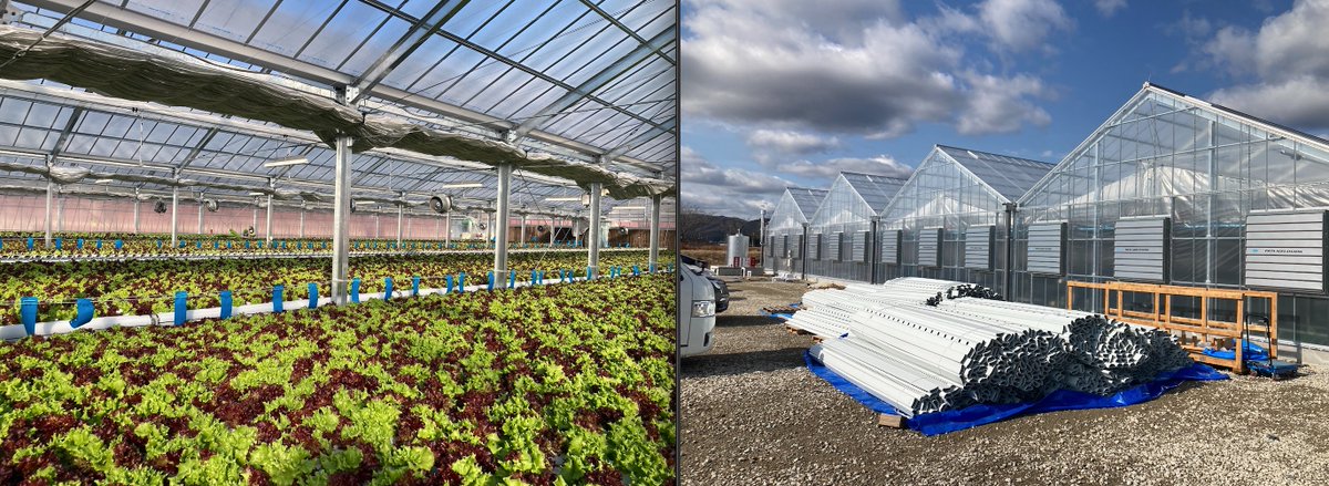 Joe Swartz tweet media