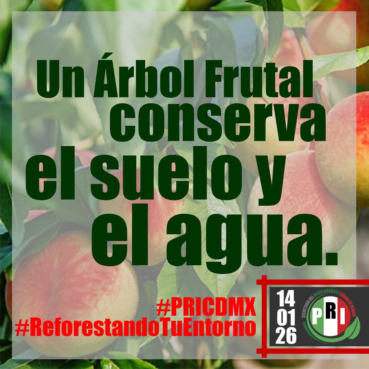 PRI Medio Ambiente CdMx tweet media