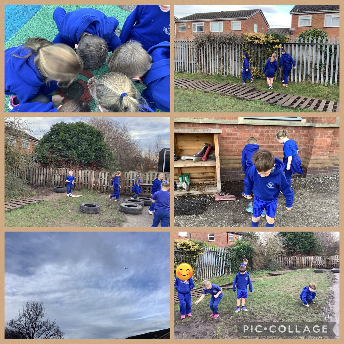muchwooltony2's tweet photo. On a minibeast hunt this afternoon to see what habitats we have in our area for animals. @muchwooltonsch #muchwooltonscience 🪶🪱🐛 https://t.co/wod3ZAUvd1
