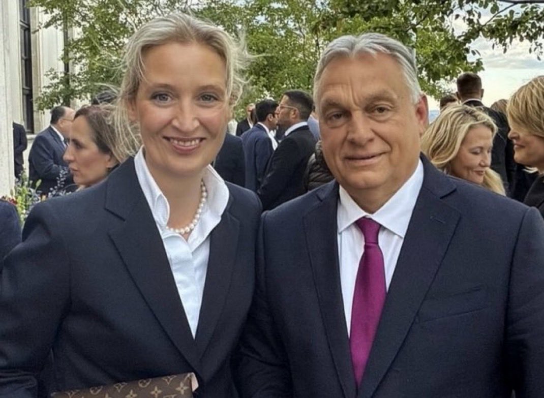 👉🏼 Sollte es mehr von diesen Politikern in Europa geben?

- Simpel: 👍 Ja oder 👎 Nein