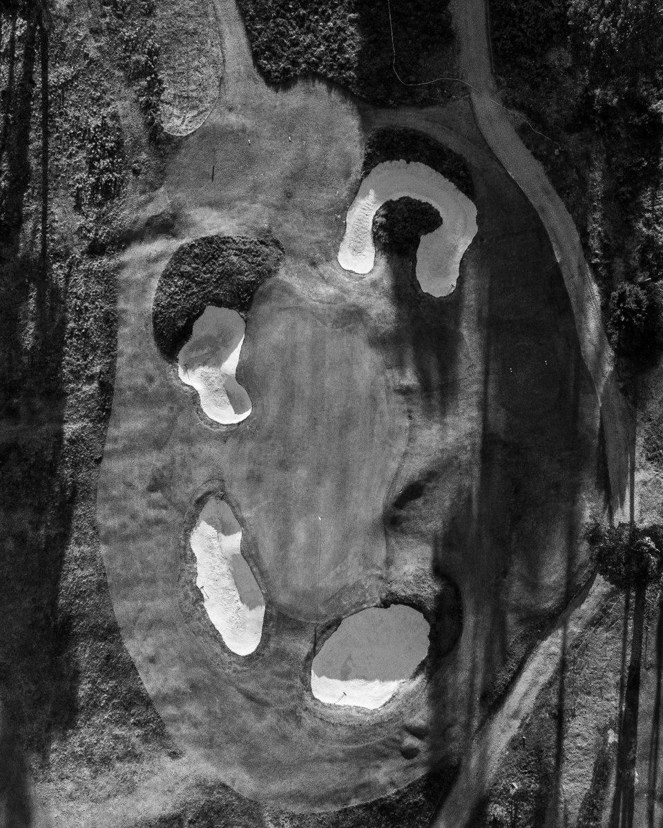 The Addington tweet media