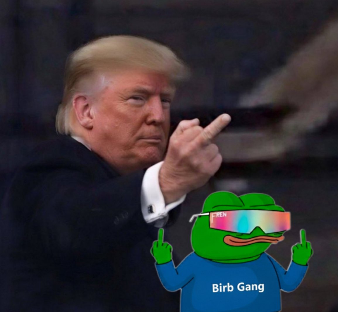 nate_fren's tweet image. should we let him in birb gang frens?