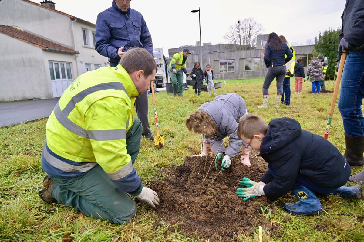 #Niort Les plantations d'arbres se poursuivent dans les quartiers, dans le cadre du programme Niort Canopée. Ici, place Dominique Arago à Saint-Florent, les élèves de l'école Pasteur ont participé aux côtés des jardiniers de la ville à la plantation de cinq cerisiers du Japon.