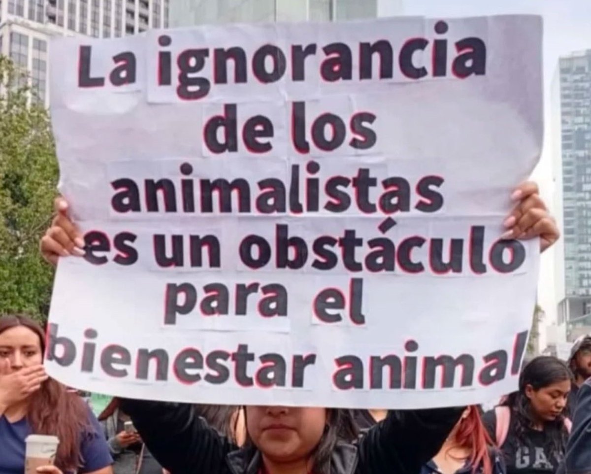 Lo ocurrido en el Refugio Franciscano en Cuajimalpa solo evidenció una cosa:
🚨LA MENTIRA ANIMALISTA

No les importa la dignidad de los animales, no hay manera de mantenerlos, los famosos santuarios son lugares de tortura  y los animalistas son violentos hasta entre ellos mismos