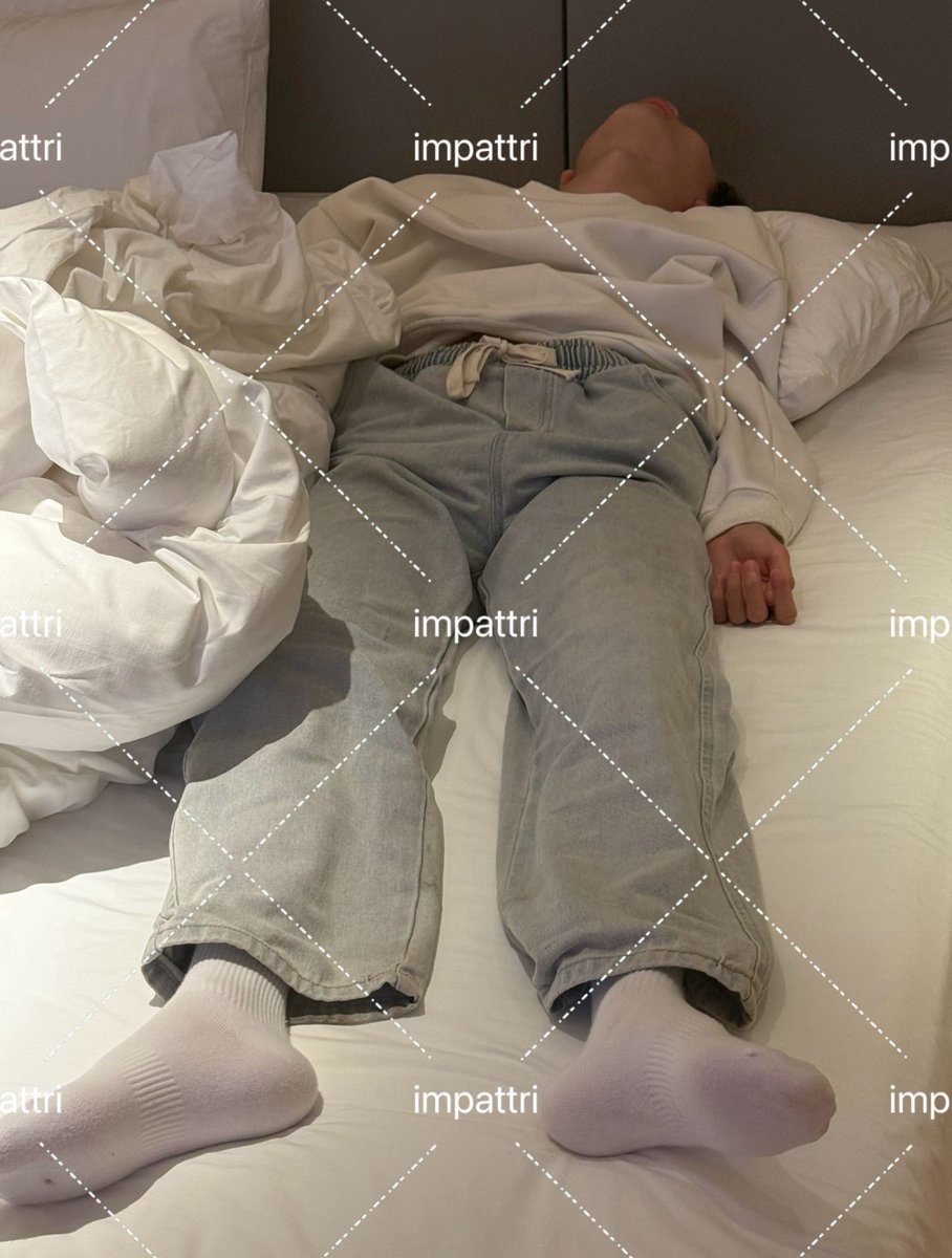 impattri tweet media