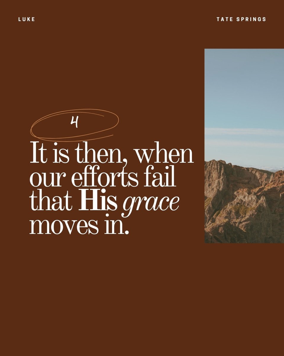 Tate Springs tweet media