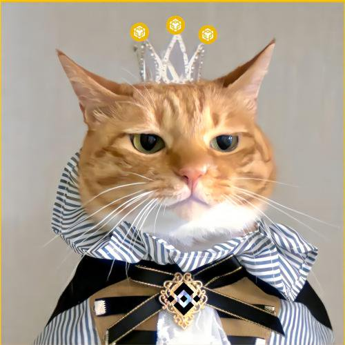 Tempo (@tempoapes) on Twitter photo 