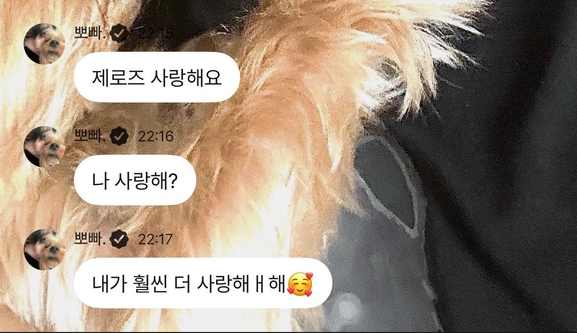 hyjtexts's tweet image. 260115 🐰💬 00:15 kst

🐰 zerose i love you

🐰 you love me?

🐰 i love you much much moreere🥰