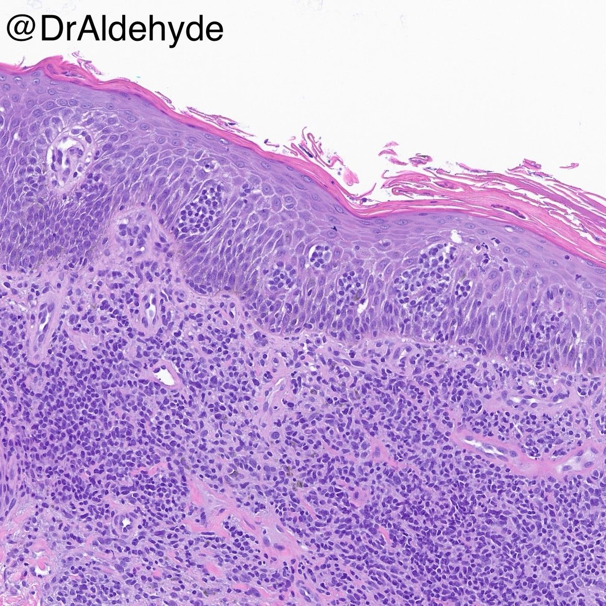Woo Cheal Cho, MD tweet media