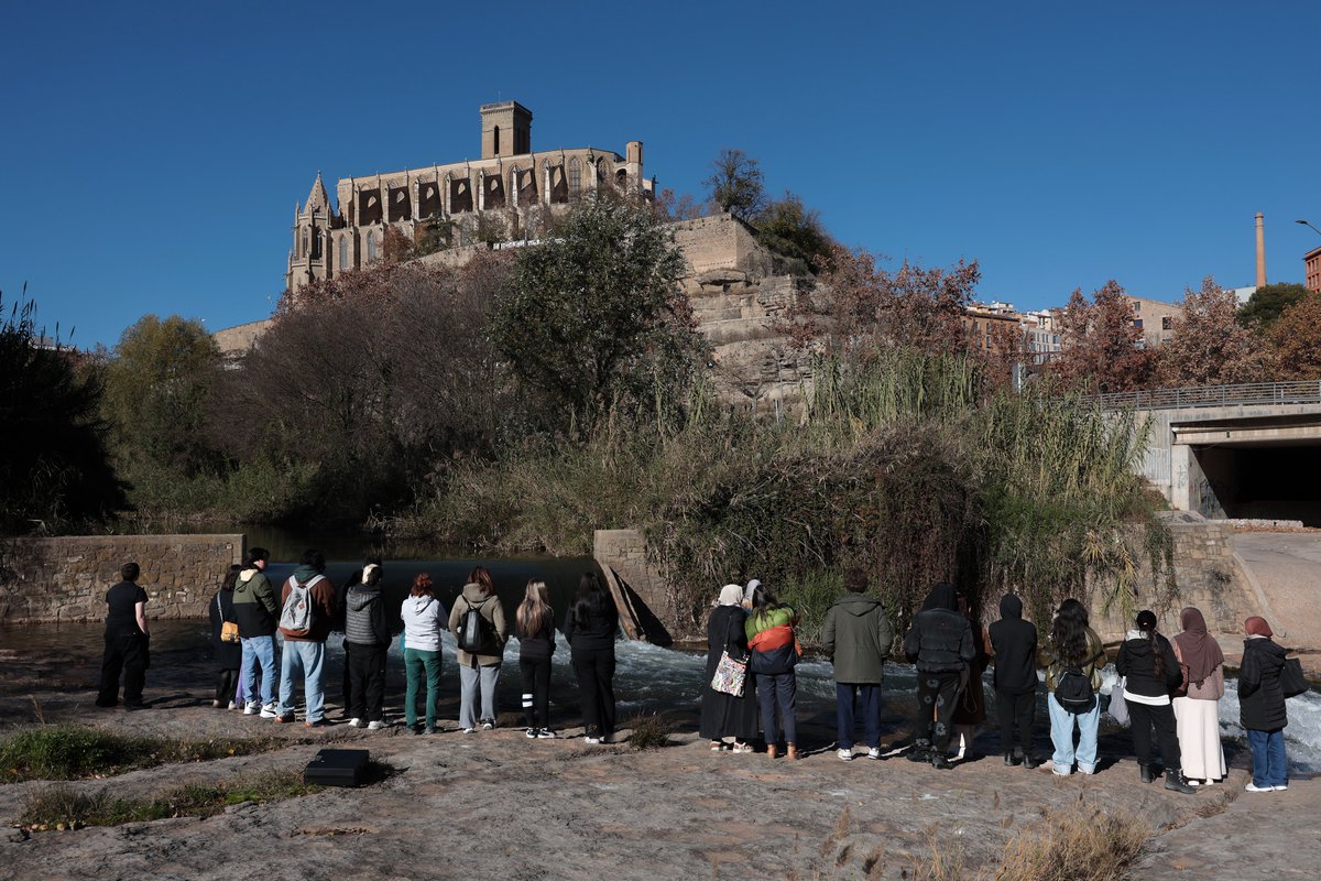 ArtsVisualsODA tweet media