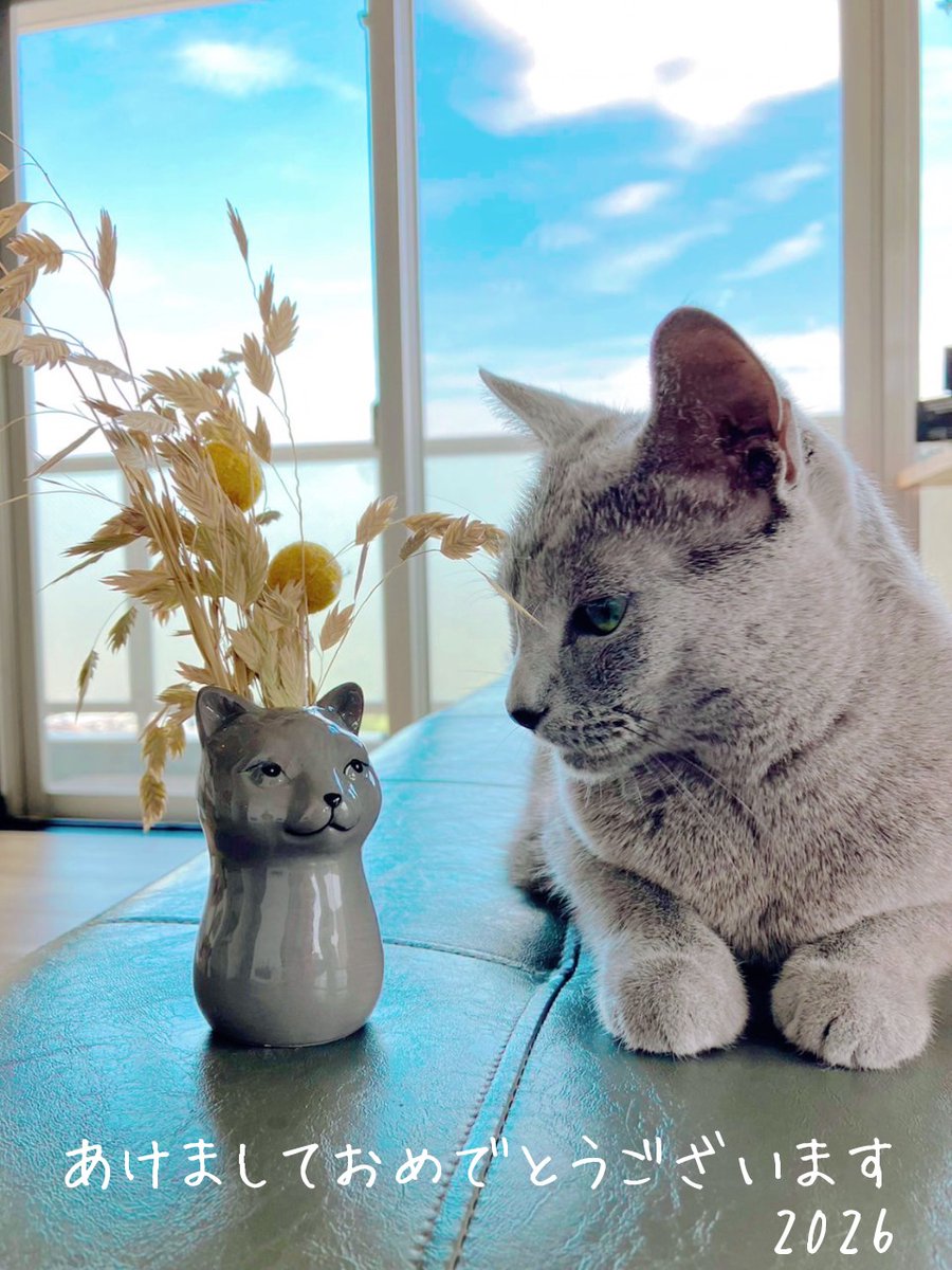 カツヒト tweet media