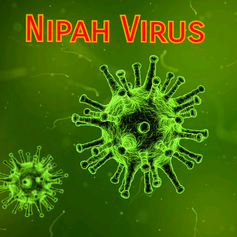 airnews_ghy's tweet photo. #NipahVirus ত আক্রান্ত হোৱাৰ সন্দেহত আৰু দুজন ব্যক্তিক ক'লকাতাৰ বেলিয়াঘাটা আই ডি হাস্পতালত ভর্তি কৰোৱা হৈছে। প্রায় ৫০ জন ব্যক্তিৰ নমুনা সংগ্ৰহ কৰি পুনেৰ নেচনেল ইন্সটিটিউট অৱ ভাইৰ'লজিলৈ প্ৰেৰণ কৰা হৈছে ।
#NipuhVirus #Testing #SampleCollection
@JPNadda https://t.co/i9ISTcAxe4