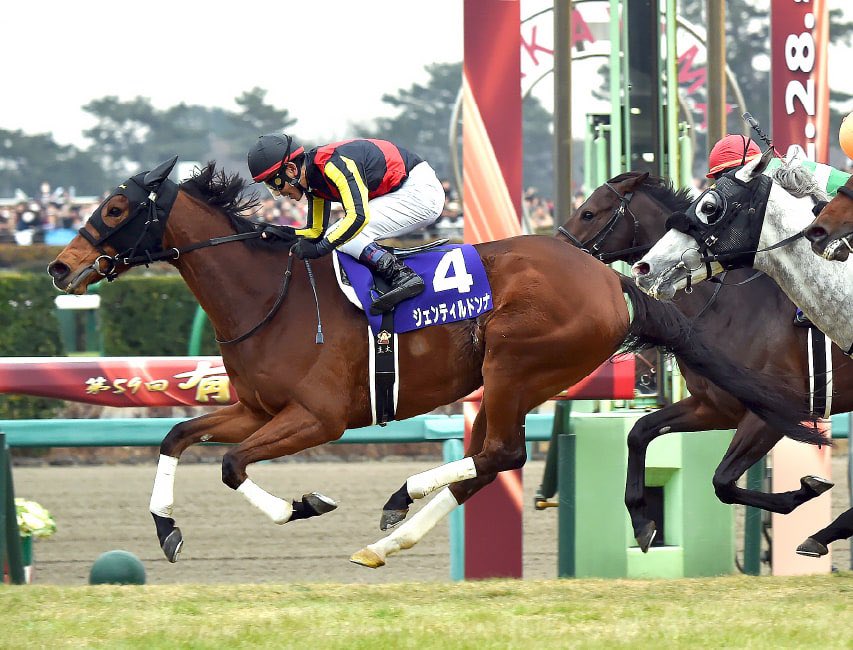 ジェンティルドンナ(牝) 2009年2月20日生 19戦10勝(うちGI7勝) 主な