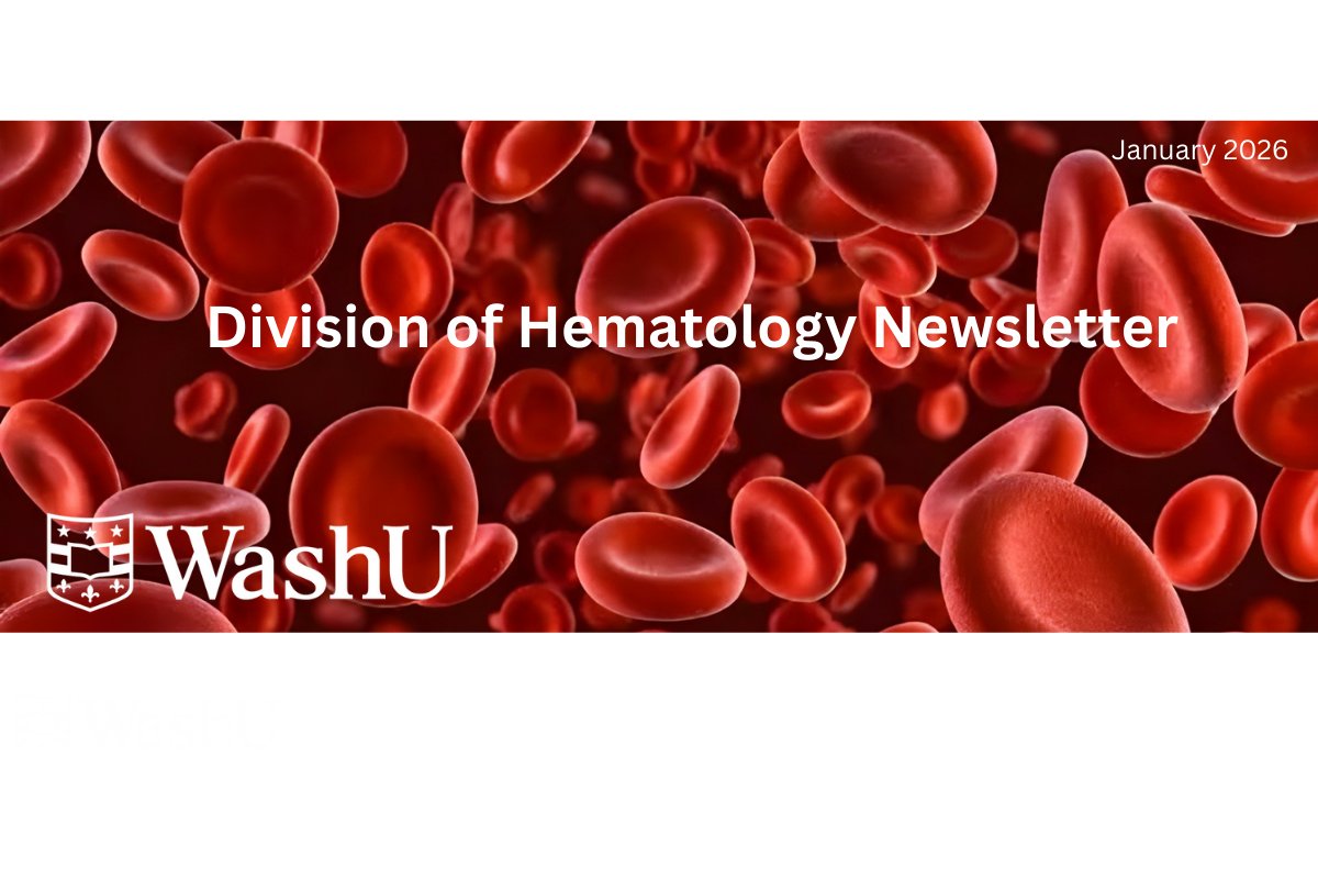 WashU Medicine Division of Hematology tweet media