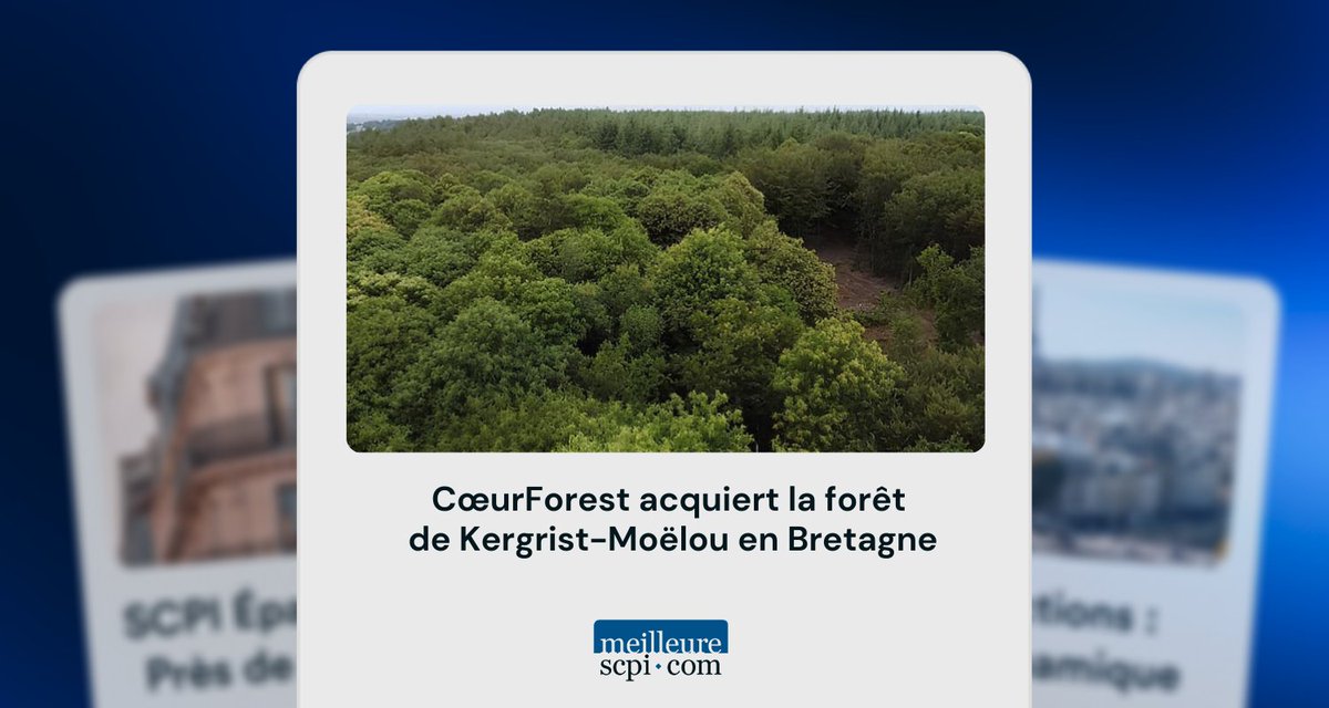 Sogenial Immobilier annonce, pour le GFI CœurForest, l’acquisition de la forêt de Kergrist-Moëlou : un massif de 239 ha situé dans les Côtes-d’Armor, en Bretagne intérieure. 🌲
meilleurescpi.com/actualites/coe…
🔔 Communication à caractère publicitaire 🔔