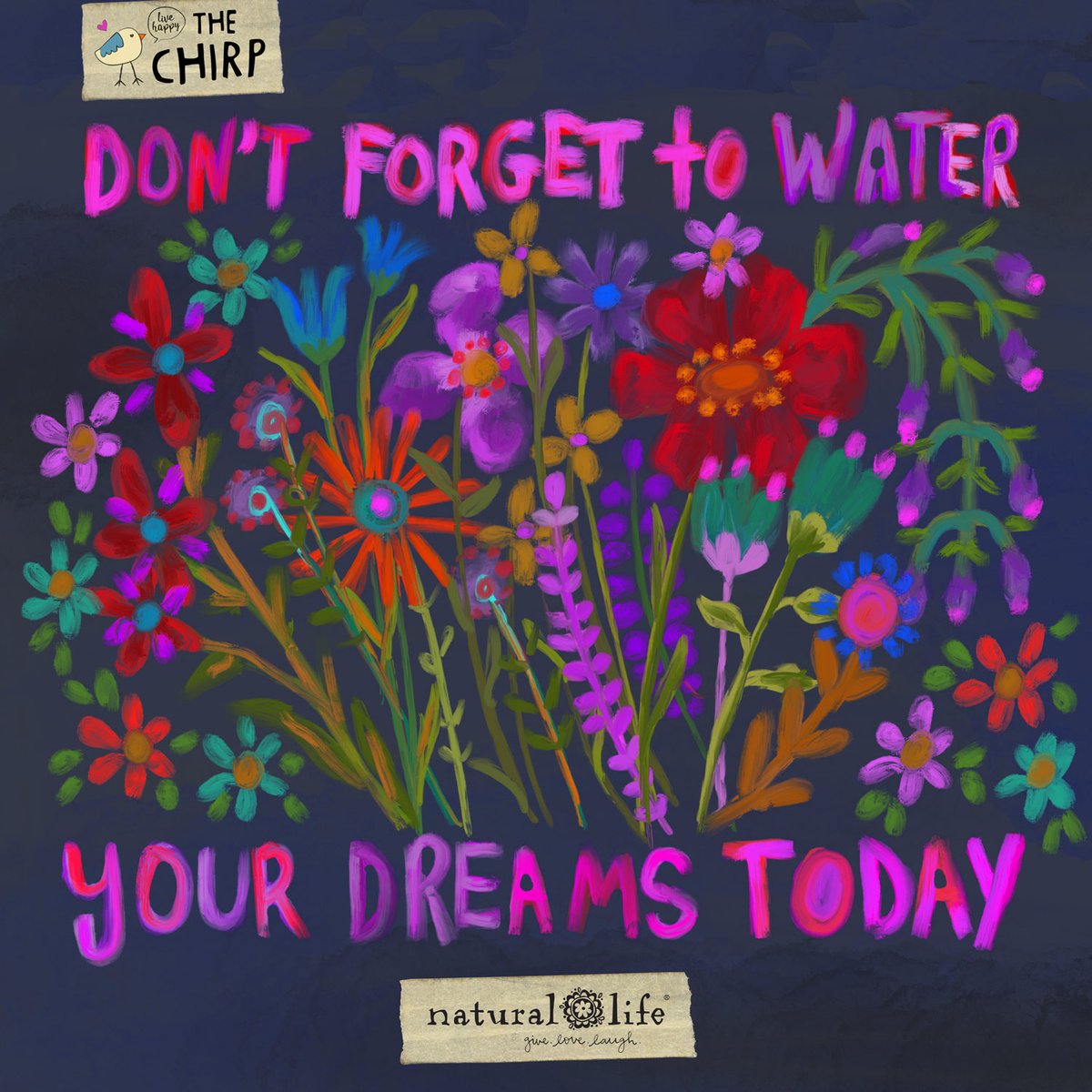 Dreams don't work unless you do. 💪💗

bit.ly/NLyourmorningc…