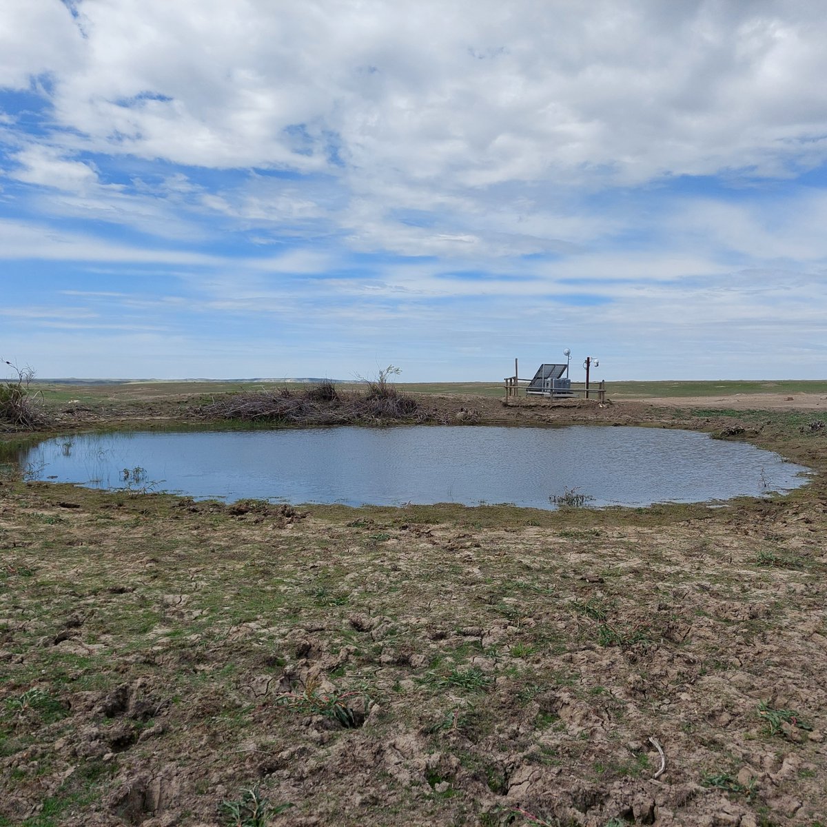 Sask PCAP tweet media