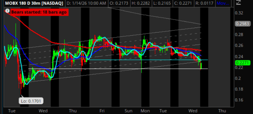 LeonDbull tweet media