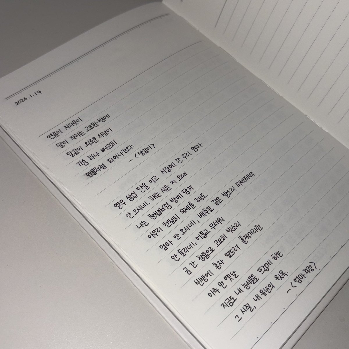X구글✔️웹문서광고✔️@구글도배,구글찌라시 텔 𝑮𝑺𝑬𝑶8✔️상위노출도배전문＃상위✔️대행ˇ✔️✔️.nxl