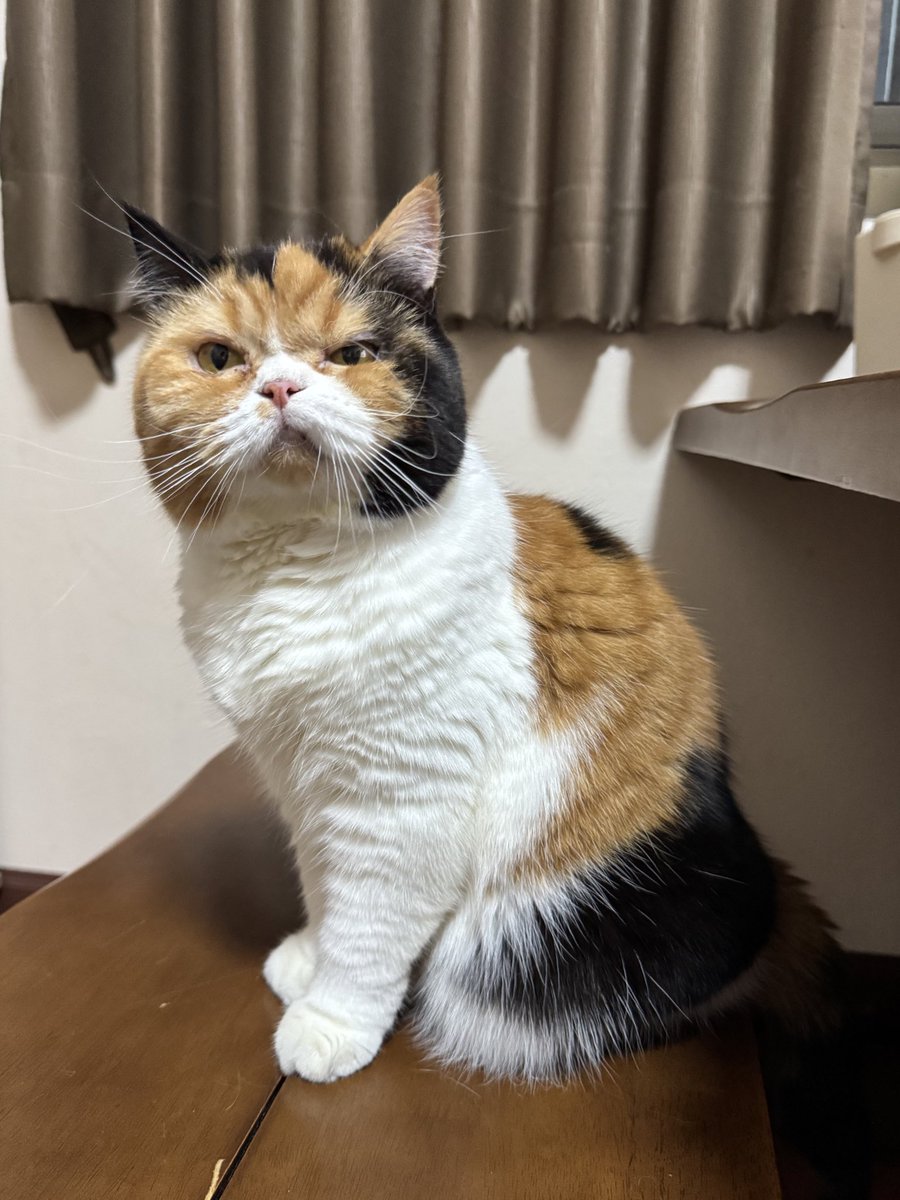 น่ารักอะะะ ถึงจะแป้บเดียวแต่ก็น่ารัก