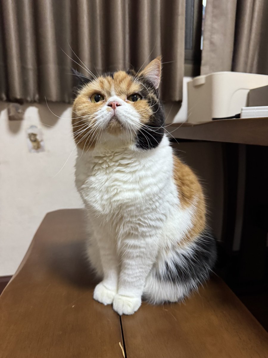 yayee2548's tweet image. น่ารักอะะะ ถึงจะแป้บเดียวแต่ก็น่ารัก