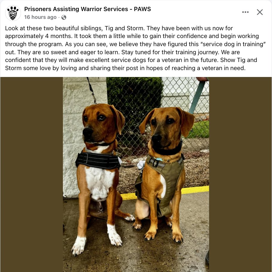 writeaprisoner's tweet image. Please share! We greatly admire the work done by Prisoners Assisting Warrior Services - PAWS at Louisiana State Prison. Inmates there have trained so many dogs that are now serving veterans. This is a win-win-win program. 🐶