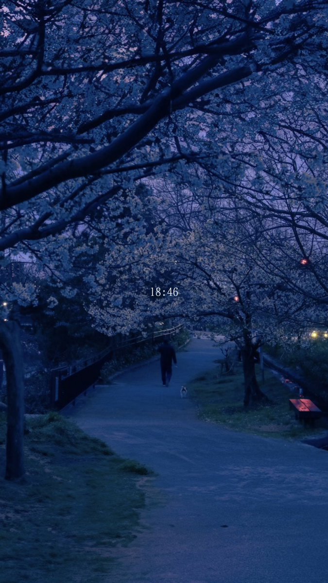 nilikoko's tweet image. 