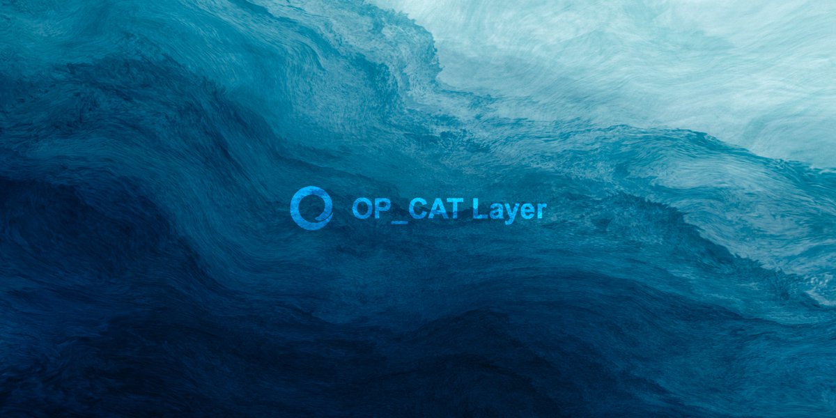 op_catlayer's tweet image. 🚀 OP_CAT Layer is coming ⚡️

The first native OP_CAT execution layer for Bitcoin — trustless, high-performance, UTXO-based.

We’re building the future of BTCFi with verifiable covenants &amp;amp; clean on-chain logic.

Dev? Investor? Bitcoiner? Stick around for deep dives &amp;amp; updates.…