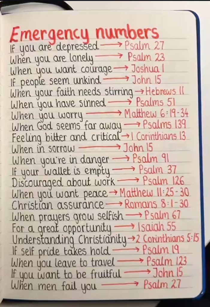 Holy__Bible1's tweet image. 