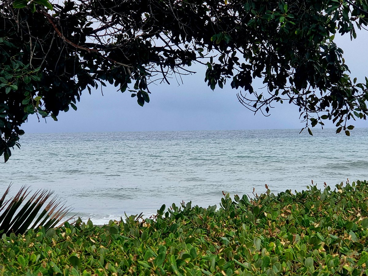 Me asomo a la ventana eres la nube de ayer...
Me asomo silencioso y veo el atardecer. . .
El oscuro manto que es a la tormenta venidera lo que el tañer de campanas a mastines en las frías noches canónicas. . .
Todo igual y todo, sin embargo, diferente. . .