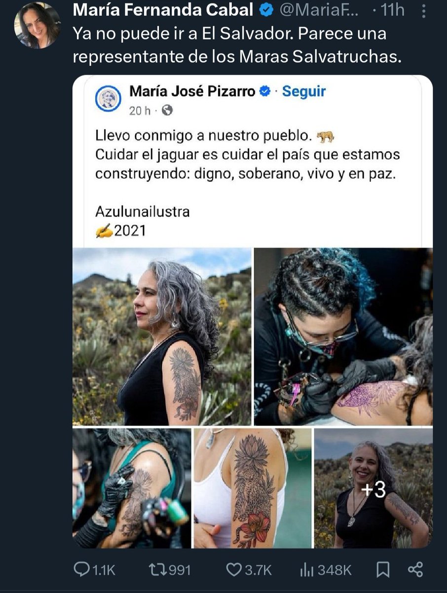 alma martela sudas tweet media