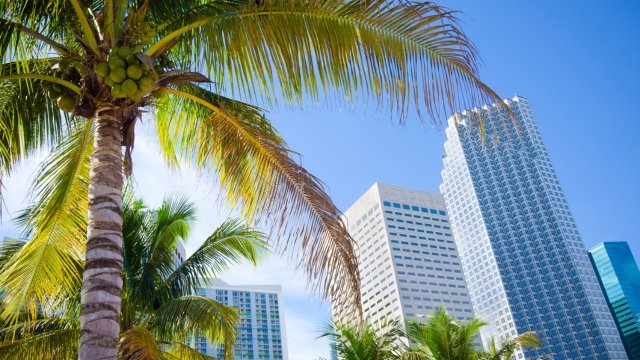 faubusiness's tweet photo. New data from Florida Atlantic University suggests South Florida’s economy is holding up better than national trends, even as concerns grow elsewhere.

🔗 Explore the latest South Florida Economic Outlook: https://t.co/UGplZQrDKB

#SouthFlorida #Economy #LocalData #Business https://t.co/d7yKdqrAV7