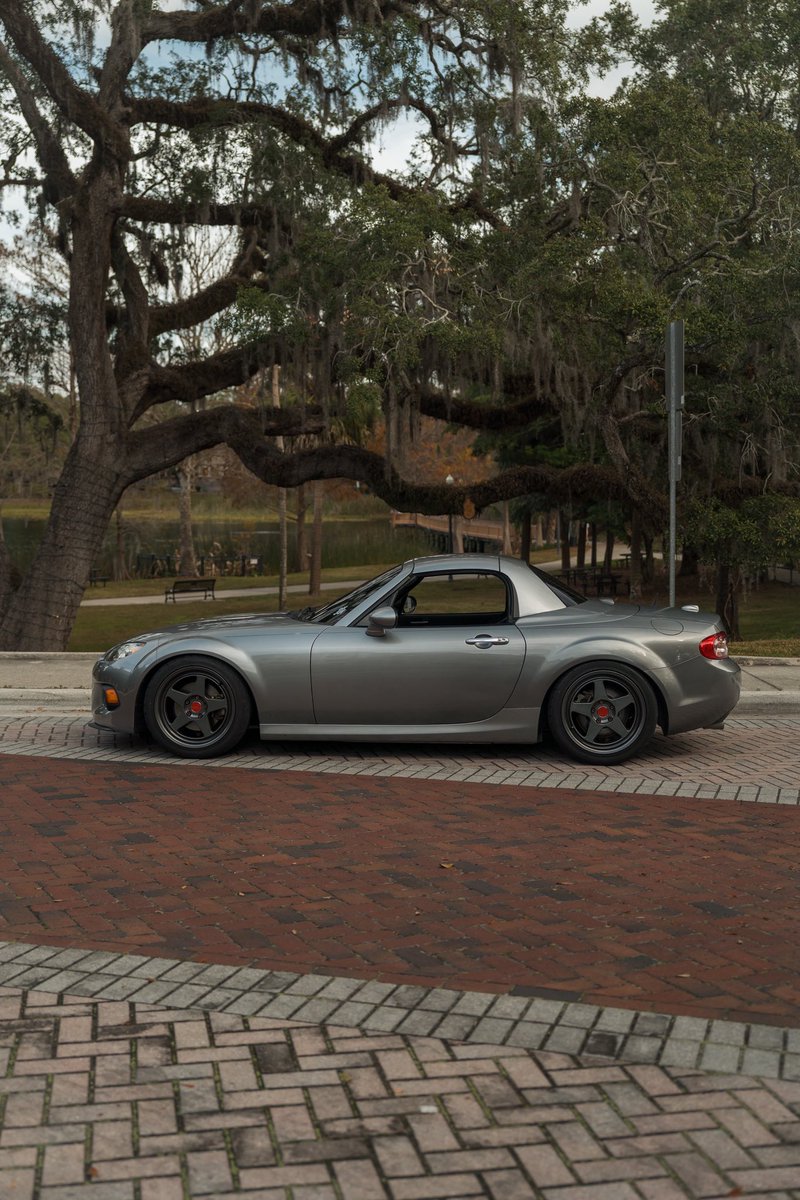 Stxcks Media tweet media