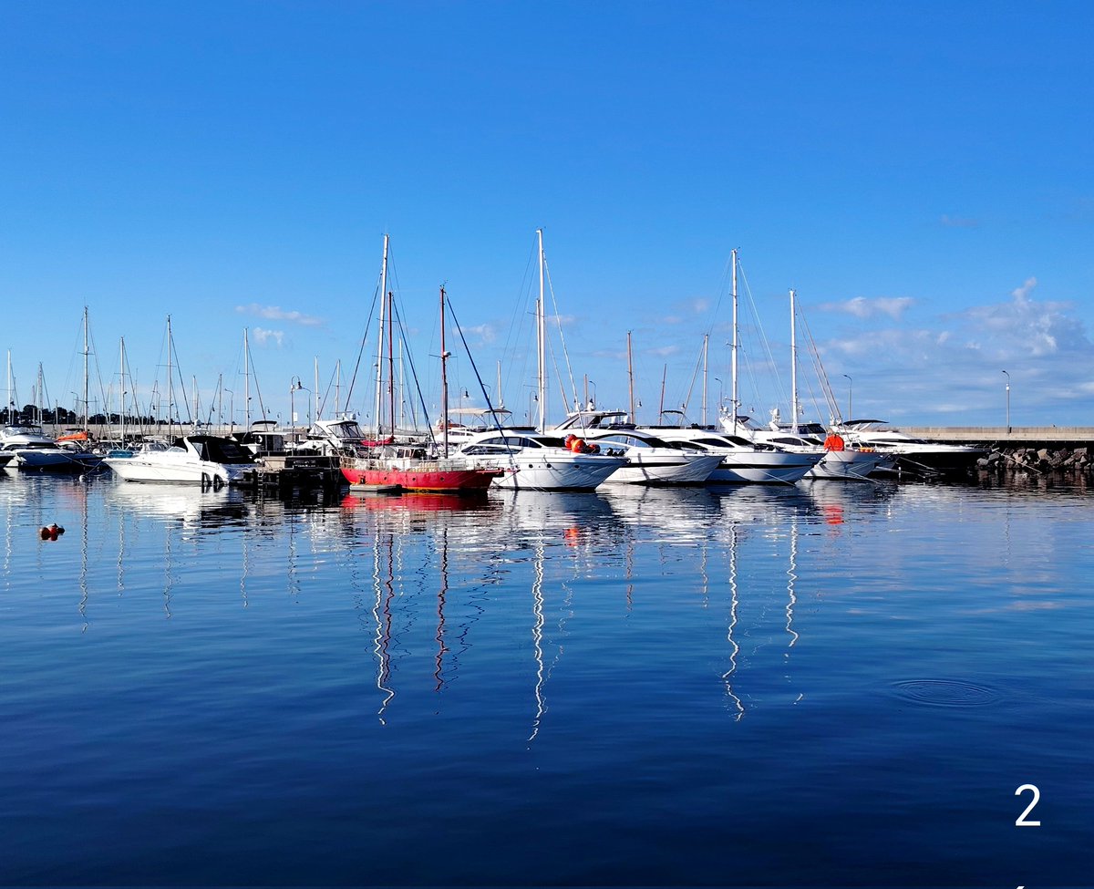 Mario Invernizzi tweet media