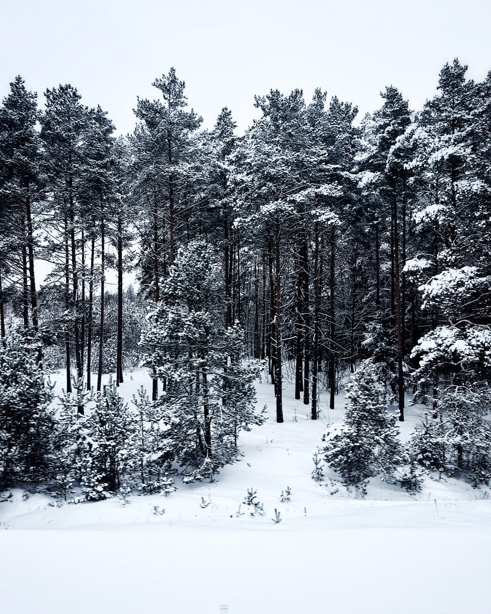 QulixSystems tweet media