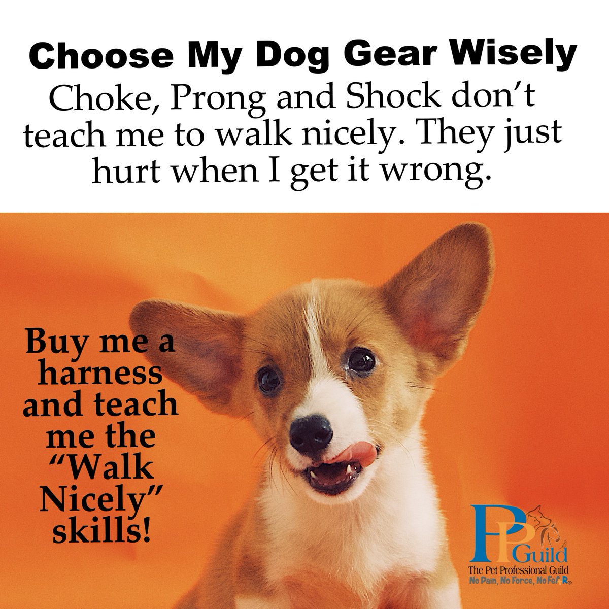 January is #WalkYourDogMonth!
If you would like to swap gear for discounts and Help Create a Kinder World for Pets, discover Project tRade:
petprofessionalguild.com/advocacy/proje…