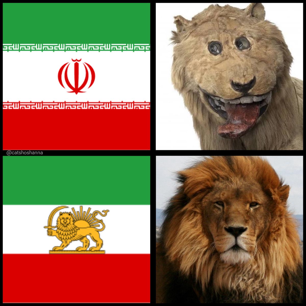 CatShoshanna's tweet image. Know the difference.