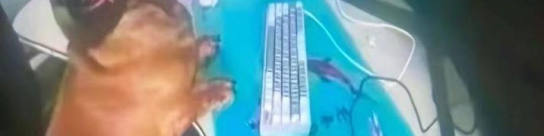 RetrAshado's tweet image. Soy este

(abre el post)