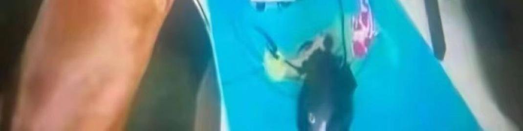 RetrAshado's tweet image. Soy este

(abre el post)