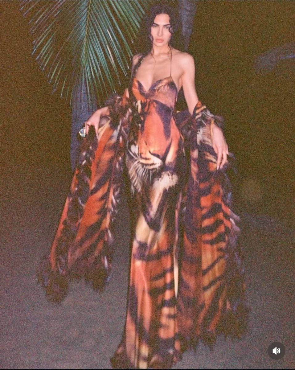 pinkglitterie's tweet image. 🐅