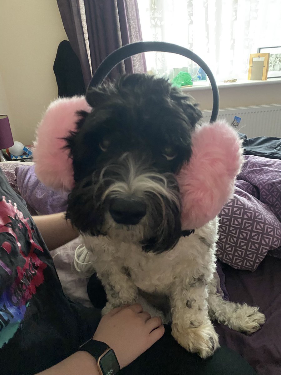 Victoria Haigh tweet media