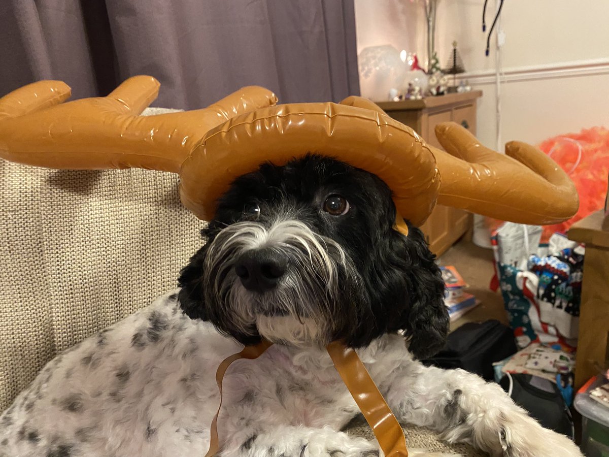 Victoria Haigh tweet media