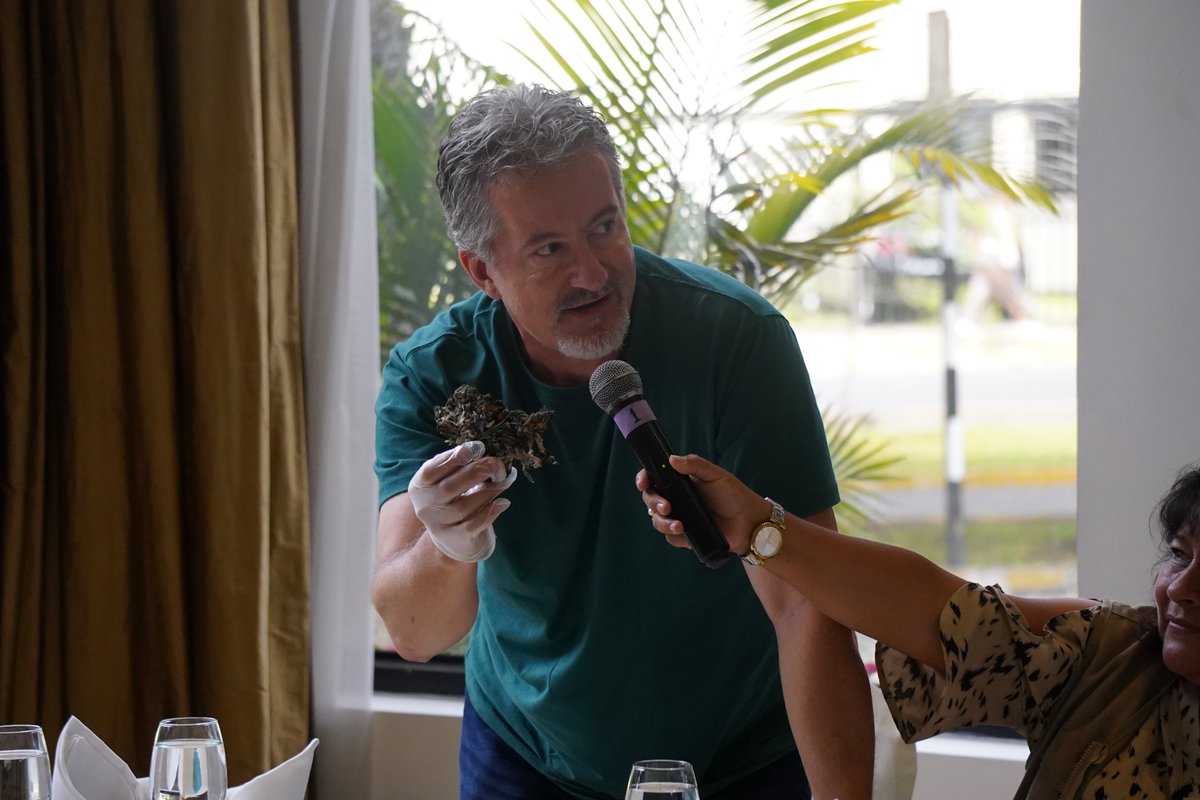 CooperAccion tweet media