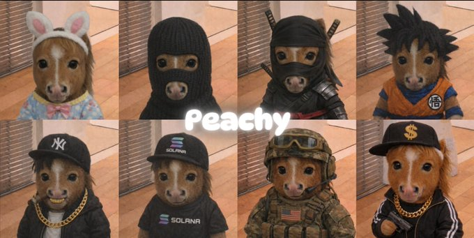 dihveloper's tweet photo. Today is national dress your pet day!

Since it's a horse meta it fits best that we use a small cute horse to dress up

Meet Peachy

National dress up your pet day: 

https://t.co/doHK8rDmBe https://t.co/j5HKefIweM