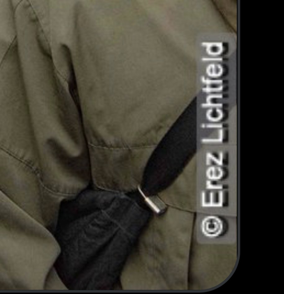 _BarboDoll_'s tweet image. 🚨REGARDEZ CE QUI J’AI DÉNICHÉ : Le photographe qui a photographié (suivi ?) Alice Cordier lors des manifestations pro-ingérences Américano-sionistes en Iran est l’israélien Erez Lichtfeld : le PHOTOGRAPHE OFFICIEL DE L’AMBASSADE D’ISRAËL EN FRANCE ET DU CRIF

Ces manifestations…