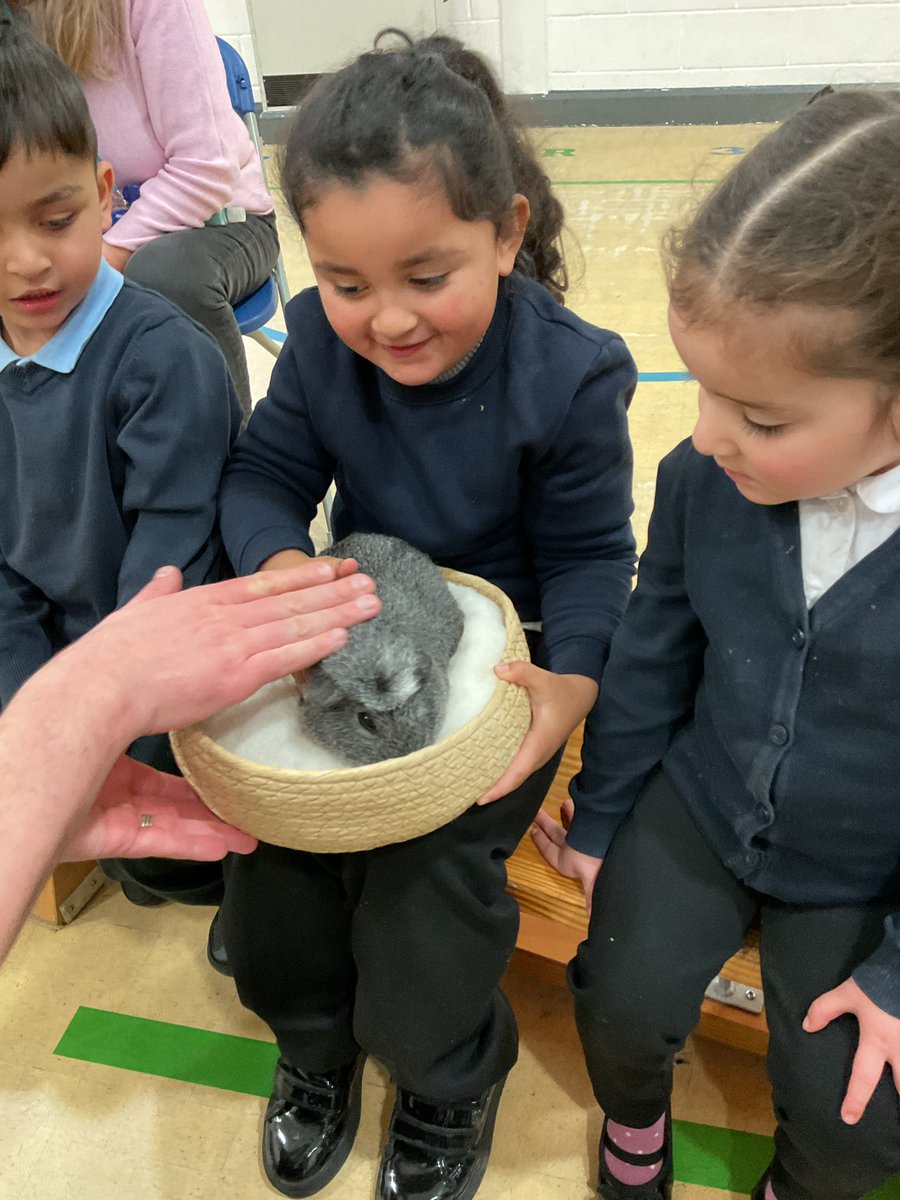 Byron Primary School tweet media