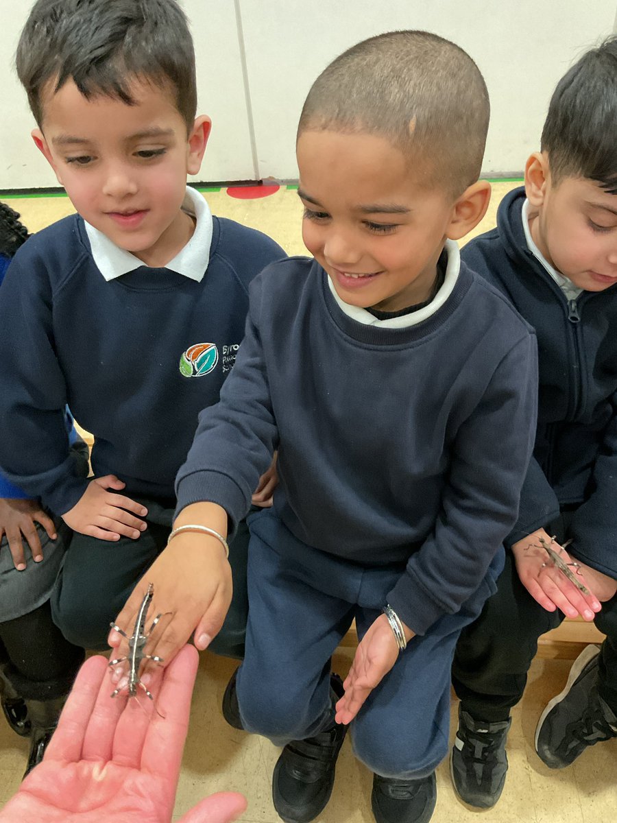 Byron Primary School tweet media