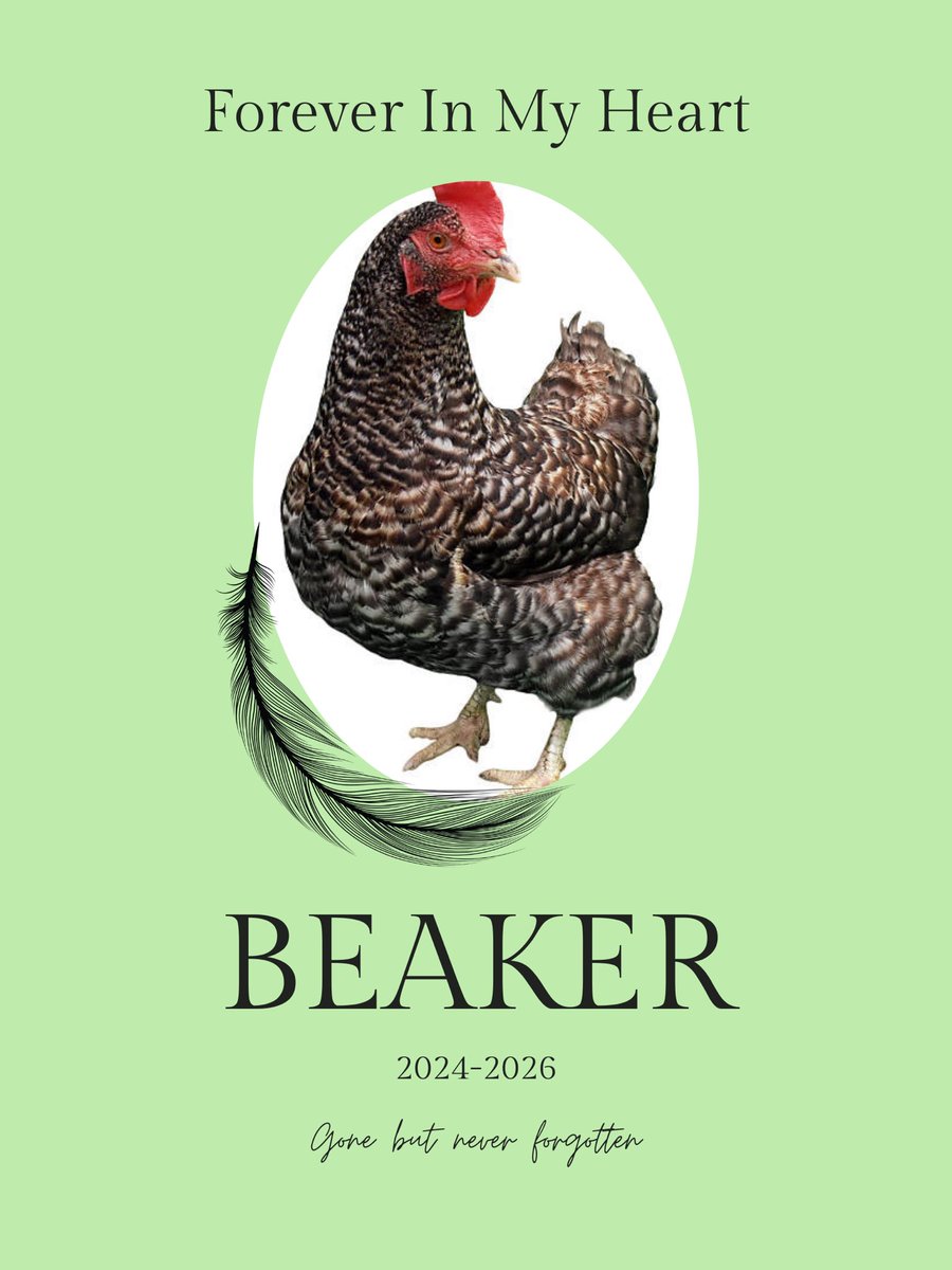 LindyFren's tweet image. 