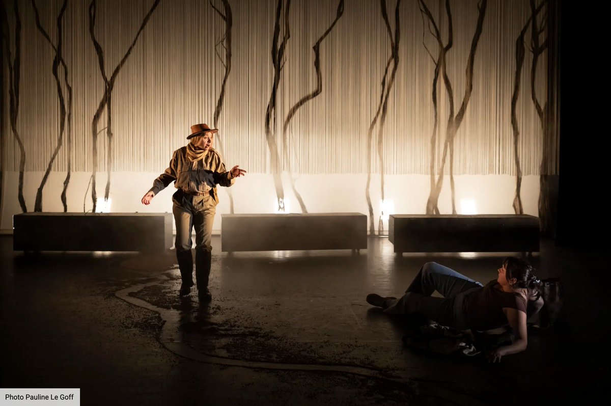 sceneweb tweet media