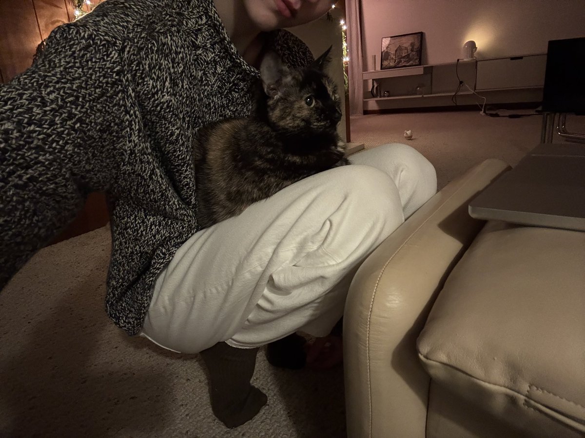 zoeloveshouses's tweet photo. she has to sit on my lap 24/7 or she’ll die https://t.co/9nxVg71YS8
